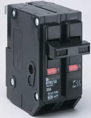 BTICINO PASTILLA TERMOMAGNÉTICA 2 x 30A (BTN2/30) (E)