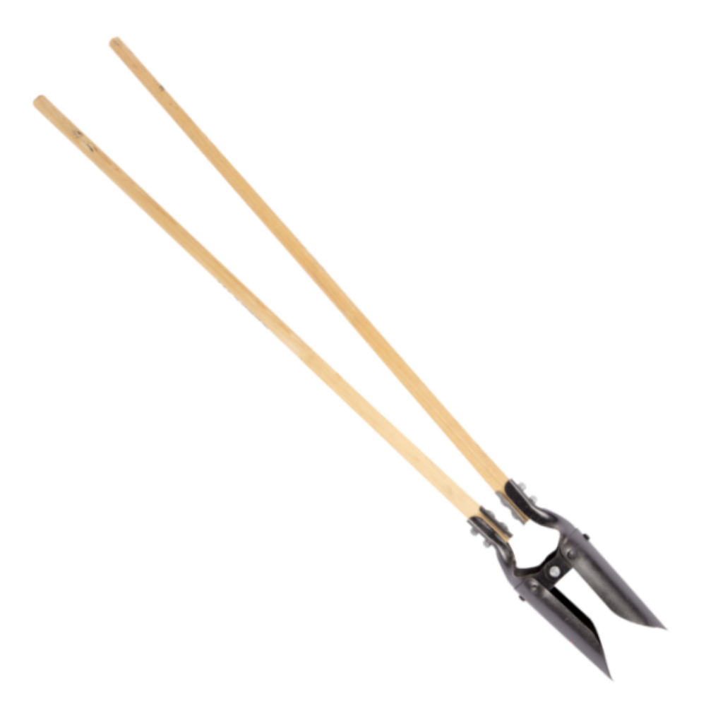 CAVAHOYOS BELLOTA REFORZADO CLASSIC (5653-C)(75653C)