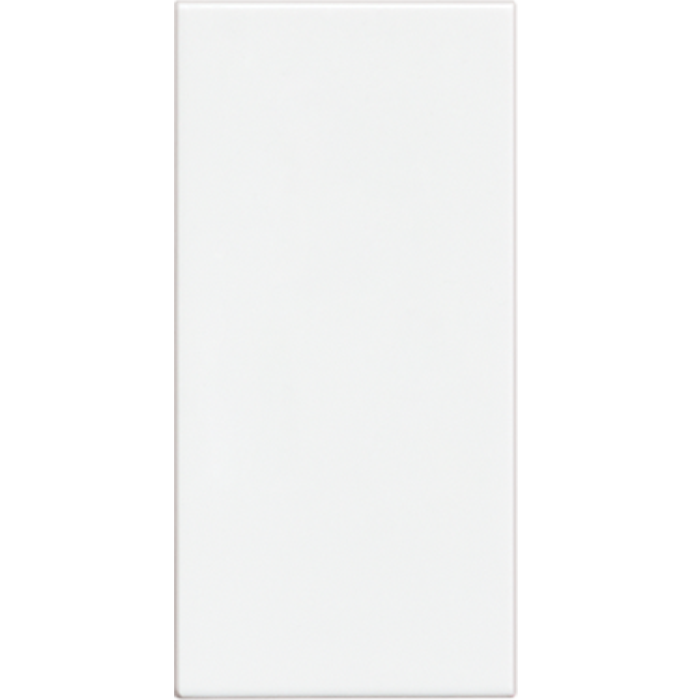 BTICINO MODUS PRO TAPÓN CIEGO BLANCO (E2000PTL) (E)