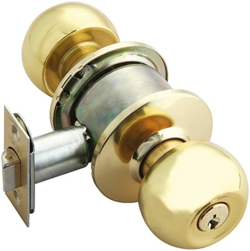 [PHCEGTREC5953] PERILLA PHILLIPS GAMMA CILÍNDRICA RECÁMARA LATÓN SATINADO MX5953