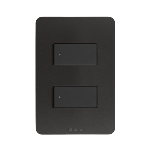 [BTMPN-013-E5N2PT] BTICINO MODUS PRO PLACA DE 2 MÓDULOS C/CHASIS DE RESINA NEGRO MATE (E5N2PTLN)